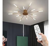 LYMSXAZOU Modern Fireworks Ceiling Light With Remote Control, LED Creative Flower Shape Lamp Fixture Nordic Semi-Flush Mount Acrylic Lighting For Living Dining Room Bedroom (Gold,12-Light)
