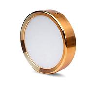 LYMSXAZOU Nordic 12W Round Ceiling Light Golden Pendant Lamp LED Surface Mounted Downlights Ultra-thin 35mm Spotlight Acrylic Matte Panel Dia 5.9inch for Corridor Kitchen Bedroom Interesting