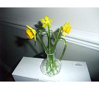 Lyndas Gifts Glass flowers gift in a vase Daffodils