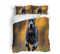 LYNNB Dog Single Duvet Cover Set, Black Doberman Pinscher Kid's Duvet Cover 150x200cm, Beddding Sets Microfiber 3 Piece Comforter Covers Set with Zipper Closure with 2 Pillowcase