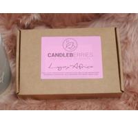 Lynx Africa Wax Melts | 20x 7g Strong Scented | Luxury Gift Set Wax Melts | Over 100Hrs Burn Time Per Box | Vegan & Pet Friendly | Cruelty & Eco Friendly | Handcrafted UK