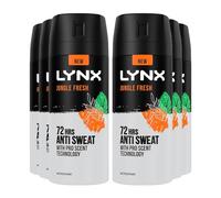 Lynx Antiperspirant Jungle Fresh 72H Long Lasting Sweat and Odour Protection Deodorant Spray for Men with Unique Scent of Palm Leaves and Amber, 150ml Pack of 6