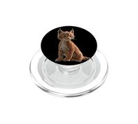 Lynx Bobcat Wild Cat Big Cats Cute Lynxes PopSockets PopGrip for MagSafe