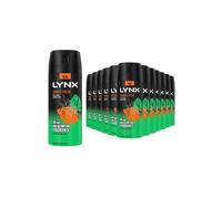 Lynx Body Spray Jungle Fresh 48H Hd Fragrance Deodorant 150Ml, 12 Pack In Black Black
