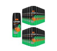 Lynx Body Spray Jungle Fresh 48H Hd Fragrance Deodorant 150Ml, 24 Pack In Black Black