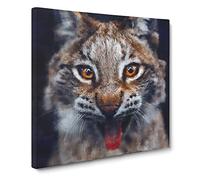 Lynx Cat Canvas Print | Gallery Wrapped 30mm Frame Wall Art | 20x20 inches | Ready to Hang | Modern Animals Picture | Living Room Bedroom Lounge Office