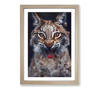 Lynx Cat Painting Framed Print | A2 Oak Framed Wall Art | Ready to Hang | Modern Animal Picture | Living Room Bedroom Lounge Office