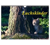 Lynx Children UK-Version (Wall Calendar 2026 DIN A4 Landscape), CALVENDO 12 Month Wall Calendar