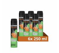 Lynx Jungle Fresh Aerosol Body Spray deodorant with a palm leaves & amber scent 48 hours of odour-busting zinc tech 6x 250 ml