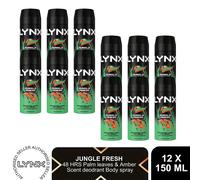 Lynx Jungle Fresh Body Spray 150ml 12 Pack Mens Deodorant 48H Palm & Amber Scent