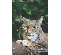 Lynx Notebook: Unique Lynx Journal, Notebook for animal and big cats lovers (College Ruled) great for kids, boys, girls, to writing notes, drawing, ... lists, organizing and braindstorming.