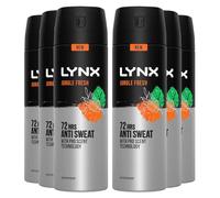 Lynx XL Antiperspirant Jungle Fresh 72H Long Lasting Sweat and Odour Protection Deodorant Spray for Men with Unique Scent of Palm Leaves and Amber, 200ml Pack of 6