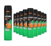 Lynx XXL Body Spray Jungle Fresh 48H High Definition Fragrance with Sweat Protection Deodorant Spray for Men with Unique Scent of Palm Leaves and Amber, 250ml Pack of 12