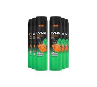 Lynx Xxl 'body Spray' Jungle Fresh Deodorant, 6X250Ml In Green Green