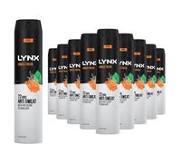 Lynx XXL Jungle Fresh Antiperspirant Deodorant Spray for Men 250ml Pack of 12 72H Sweat & Odour Protection PALM LEAVES & AMBER FRAGRANCE Mens Deodorant Spray