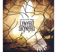 Lynyrd Skynyrd - Last Of A Dyin' Breed Ltd. Gold - Colored 2 Vinyl