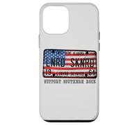 Lynyrd Skynyrd License Plate 1964 Sweet Home US Flag Alabama Case for iPhone 12 mini