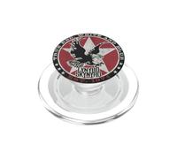 Lynyrd Skynyrd Red White and Blue Eagle Stars Retro 70s Rock PopSockets PopGrip for MagSafe