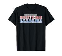 Lynyrd Skynyrd Sweet Home Alabama Stars Stripes US Flag Rock T-Shirt