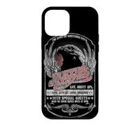 Lynyrd Skynyrd Underbrush Live 70s Rock Retro Festival Biker Case for iPhone 12 mini