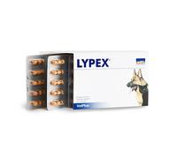Lypex Pancreatic Enzyme Capsules Supplement Support for Pet Dogs Pack of 60