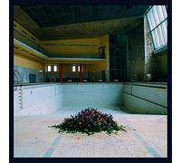 LYR - Call in the Crash Team