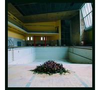 LYR Call in the Crash Team (Vinyl) 12" Album (US IMPORT)