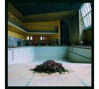 LYR Call in the Crash Team (Vinyl) 12" Album (US IMPORT)