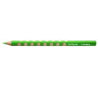 Lyra Groove Cardboard Case with 1 pencil meadow green