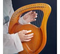 Lyre Harp with Tuning Wrench Strings, Beginner 21/24 Strings for Weddings, Camping Birthday Party Mini Harp Stringed Instrument(24-string,C)