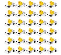 Lyreh 30pcs Racing Mini Resin Duck, Tiny Small Drag Racing Resin Ducks Dollhouse Miniature Accessories for Car Themed Party Decor DIY Micro Garden Landscape Bonsai(White)