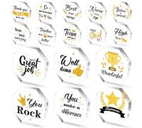 Lyrow 16 Pcs Appreciation Acrylic Trophy Award Thank You Gifts for Women Acrylic Trophies Gift for Adults You Did It, Well Done, Nice Work Praise Trophy for Teacher Coworker Employee Gift