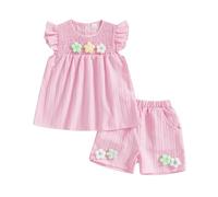 LYSINK Toddler Baby Girl Summer 2 Piece Outfits Cute 3D Flower Embroidery Ruffle Smocked Tops and Elastic Waist Shorts Sets (02Pink, 2-3T)