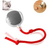 Lysliv 2025 New Interactive Dog Ball, Self Rolling Pets Ball Interactive Automatic Cat Toys Self Moving Pet Toys Smart Automatic Rolling Ball Toy Electric Balls for Kitten/Puppy (Grey)