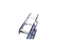 Lyte 3-Section Trade Extension Ladder