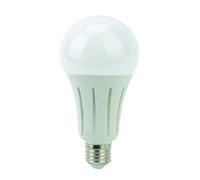 LyvEco 24W LED Light Bulb (A80 / GLS) ES Base 2452 Lumen 4000 Kelvins