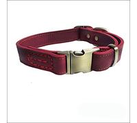 LYVQZPWLRDog Harness No Pull, Basic Dog Leashes Leather Dog Collar Medium And Large pets Snap Collar Adjustable Dog(Coffee,M)