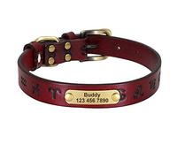 LYVQZPWLRDog Harness No Pull, Dog Traction Rope Leather Dog Collar Personalized Dog Collars Leather Gold Buckle German Shepherd Pet ID Collar(Red,2XL)