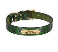 LYVQZPWLRDog Harness No Pull, Dog Traction Rope Leather Dog Collar Personalized Dog Collars Leather Gold Buckle German Shepherd Pet ID Collar(Grün,S)