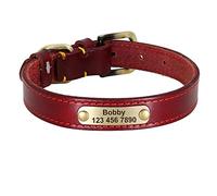 LYVQZPWLRDog Harness No Pull, Pet Leads Leashes Personalized Leather Dog Collar Leather Gold Buckle Pet ID Collar(Red,L)