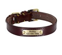LYVQZPWLRDog Harness No Pull, Pet Leads Leashes Personalized Leather Dog Collar Leather Gold Buckle Pet ID Collar(Dark Brown,M)