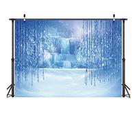 LYWYGG 7x5ft Ice and Snow White World Photography Backdrops Background Christmas Winter Snow Ice Crystal Pendant World for Children Photo Studio Props Backdrop CP-12