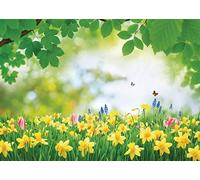 LYWYGG 7x5FT Spring Scenery Backdrop Forest Path Sunshine Flower Photography Background Natural Scenery Photo Shoot Props cp-337