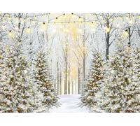 LYWYGG 7x5ft Winter Backdrop Winter Forest Backdrop Wonderland Snowflake Photography Background Glitter Snow Forest Backdrops cp-714