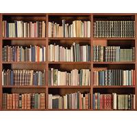 LYWYGG 8x6FT Photo Vinyl Photography Background Office Backdrop Library Backdrop Book Backdrop Bookshelf Backdrop Vintage Bookcase Magic Books Ancient Library Photo Studio Backdrop CP-49-0806