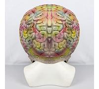 Lyxaof Mars Attacks Mask Realistic Brain Alien Mask Full Head Monster Headwear Scary Halloween Cosplay Costume Prop for Adult (Alien Brain)