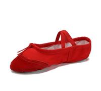 LYXYGMV Ballet Shoes for Girls Children Women Dance Slippers Kids/Child Ballroom Latin Modern Tango Dancing Salsa Training for Dance Practice or Performance(Red1,35 (22.5cm))