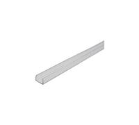 lyyt 2M CLEAR PLASTIC STRIP FOR MOUNTING ROPE OR TUBE LIGHT