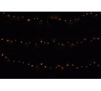 LYYT Outdoor Led Battery Operated String Lights With Auto Timer- Warm White