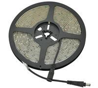 Lyyt | Professional 12V LED Strip | 5m Reel | Cool White
